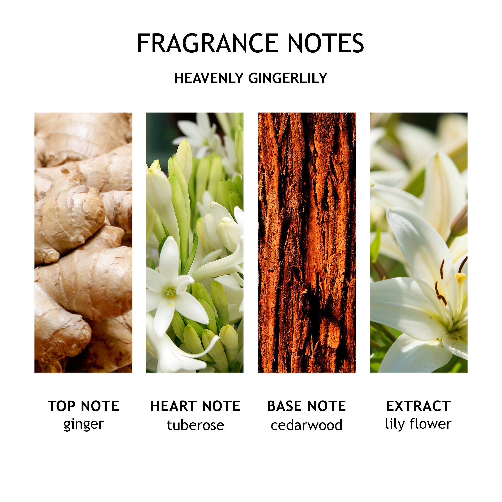 Molton Brown Heavenly Gingerlily Body Lotion Molton Brown Heavenly Gingerlily Body Lotion