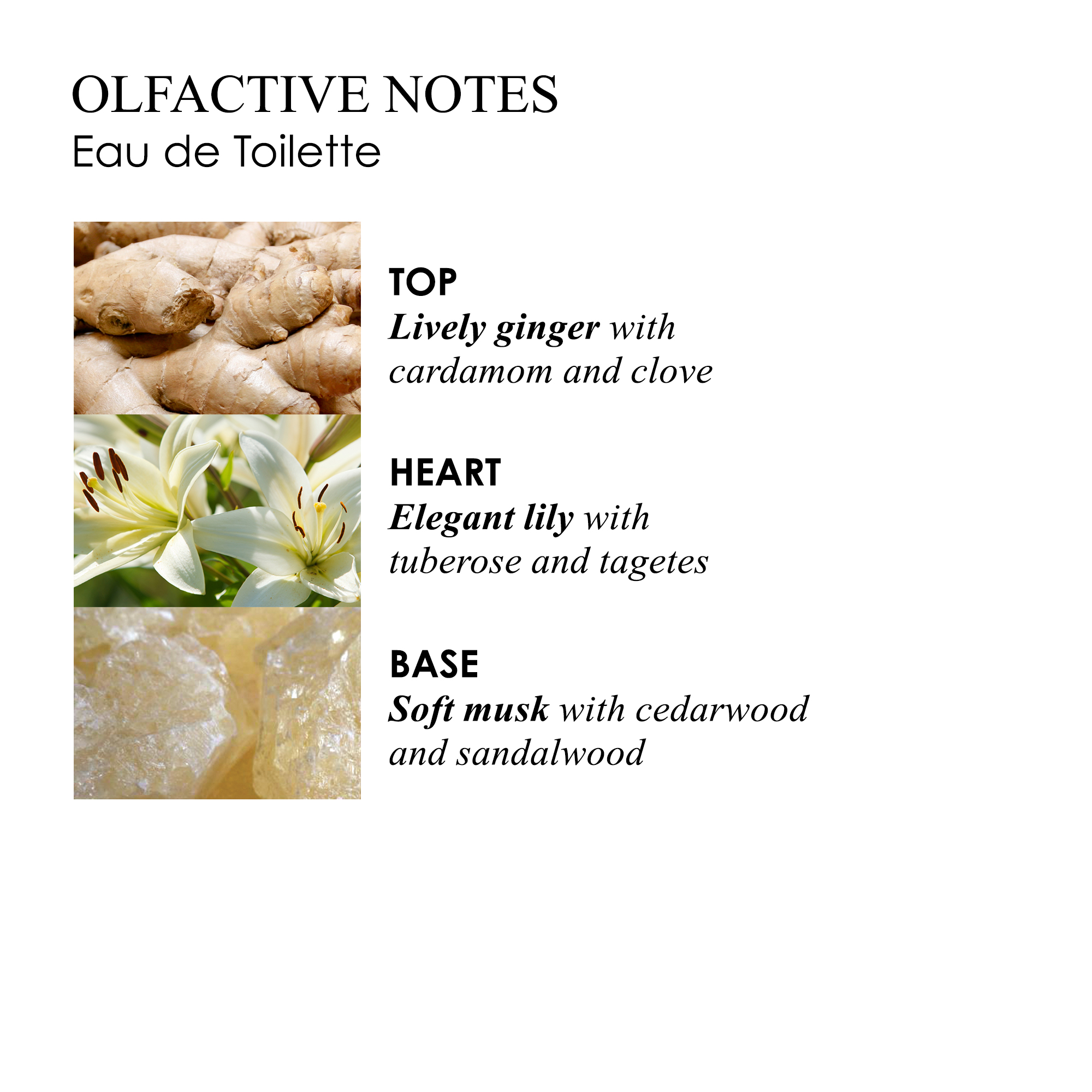 Molton Brown Heavenly Gingerlily Body Lotion Molton Brown Heavenly Gingerlily Body Lotion