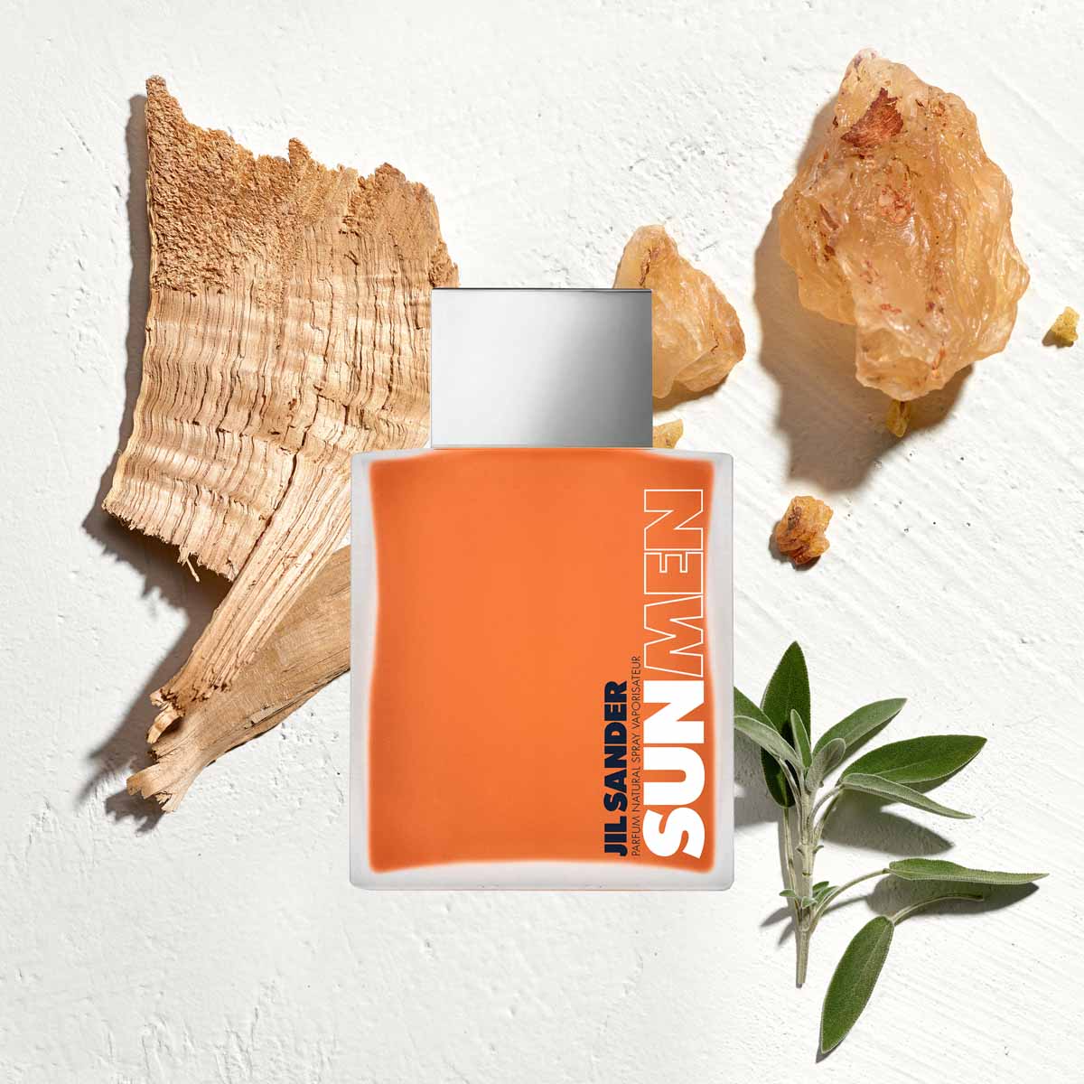 3616301785149_JIL_SANDER_PARFUM_MALE_EDP_INGREDIENTS