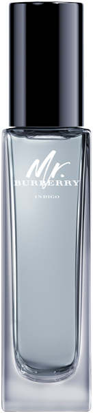 Burberry Mr. Burberry Indigo Eau de Toilette Travel Spray