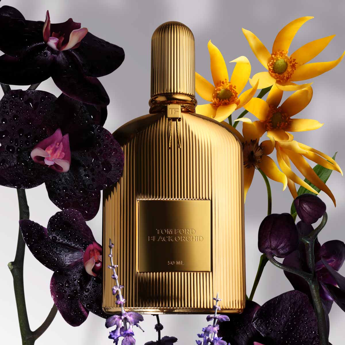 Tom Ford Black Orchid Parfum Tom Ford Black Orchid Parfum