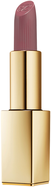 Estée Lauder Pure Color Matte Lipstick | Parfümerie Godel