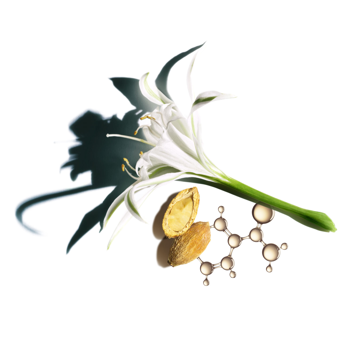 Clarins Nutri-Lumière Jour SPF 15 TP Clarins Nutri-Lumière Jour SPF 15 TP