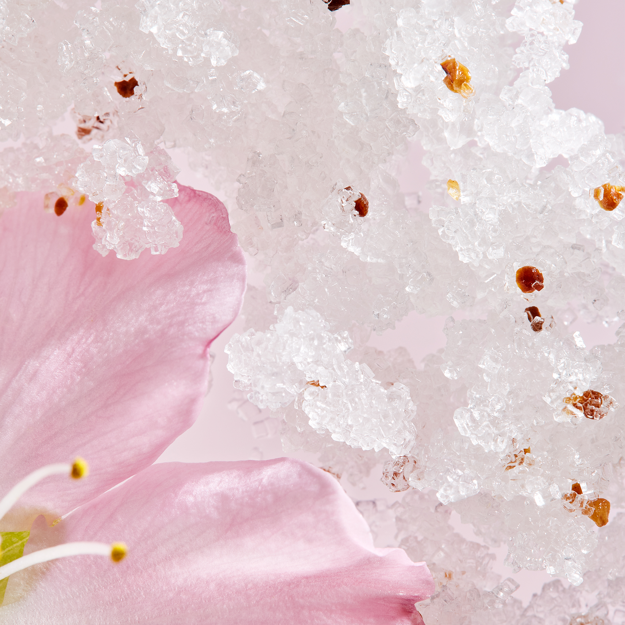Rituals The Ritual of Sakura Body Scrub