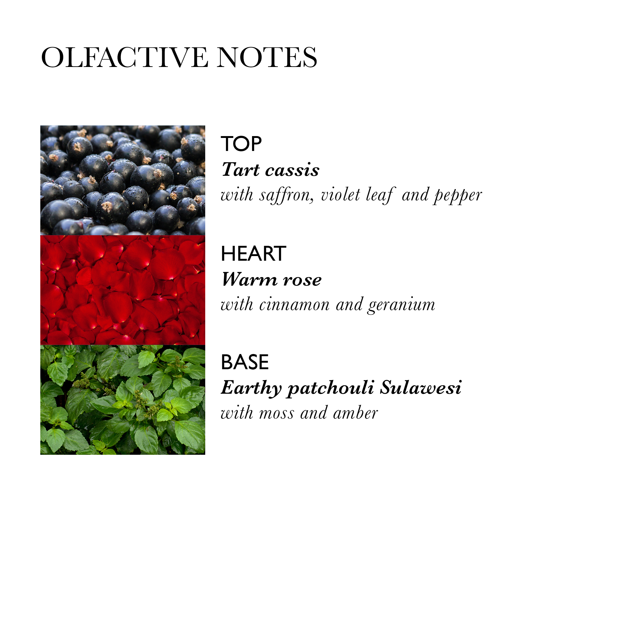 Molton Brown Rose Dunes Body Lotion Molton Brown Rose Dunes Body Lotion