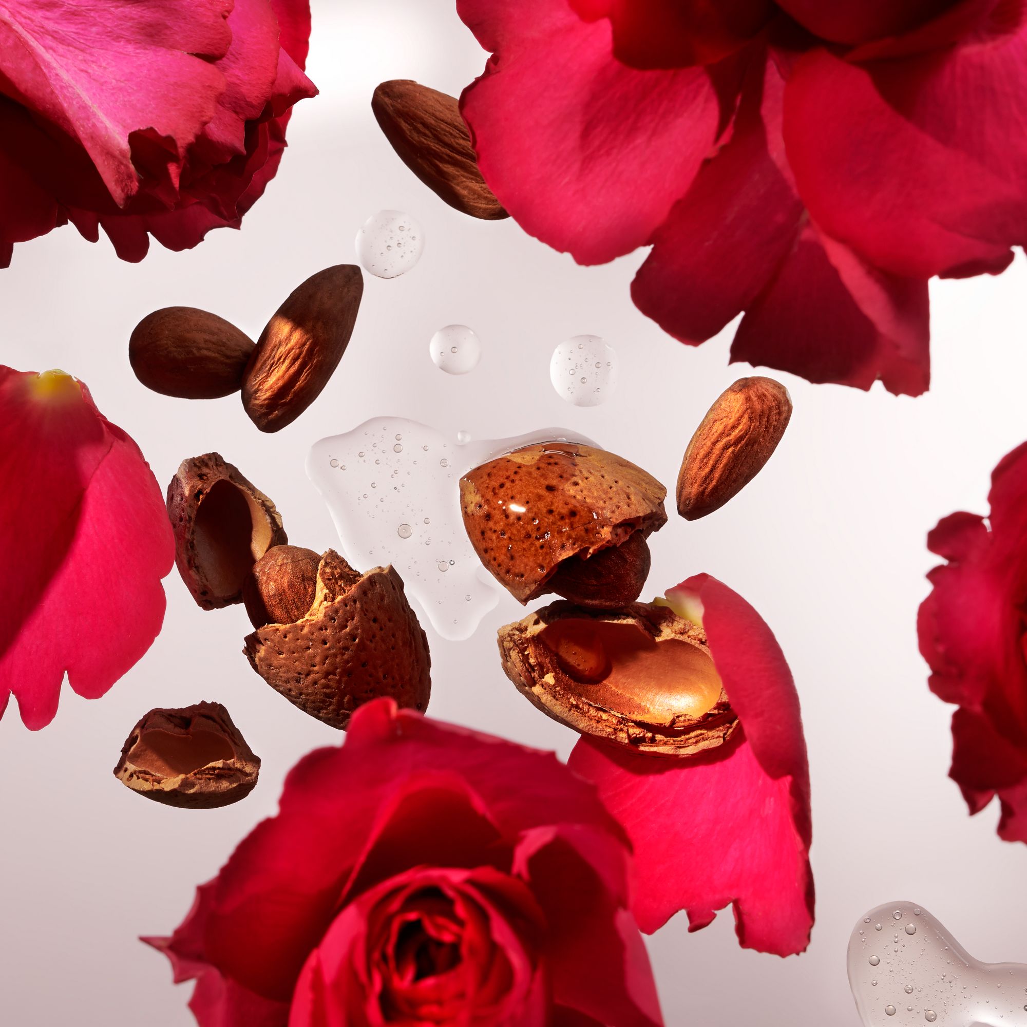 Rituals The Ritual of Ayurveda Dry Oil