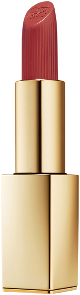 Estée Lauder Pure Color Matte Lipstick | Parfümerie Godel