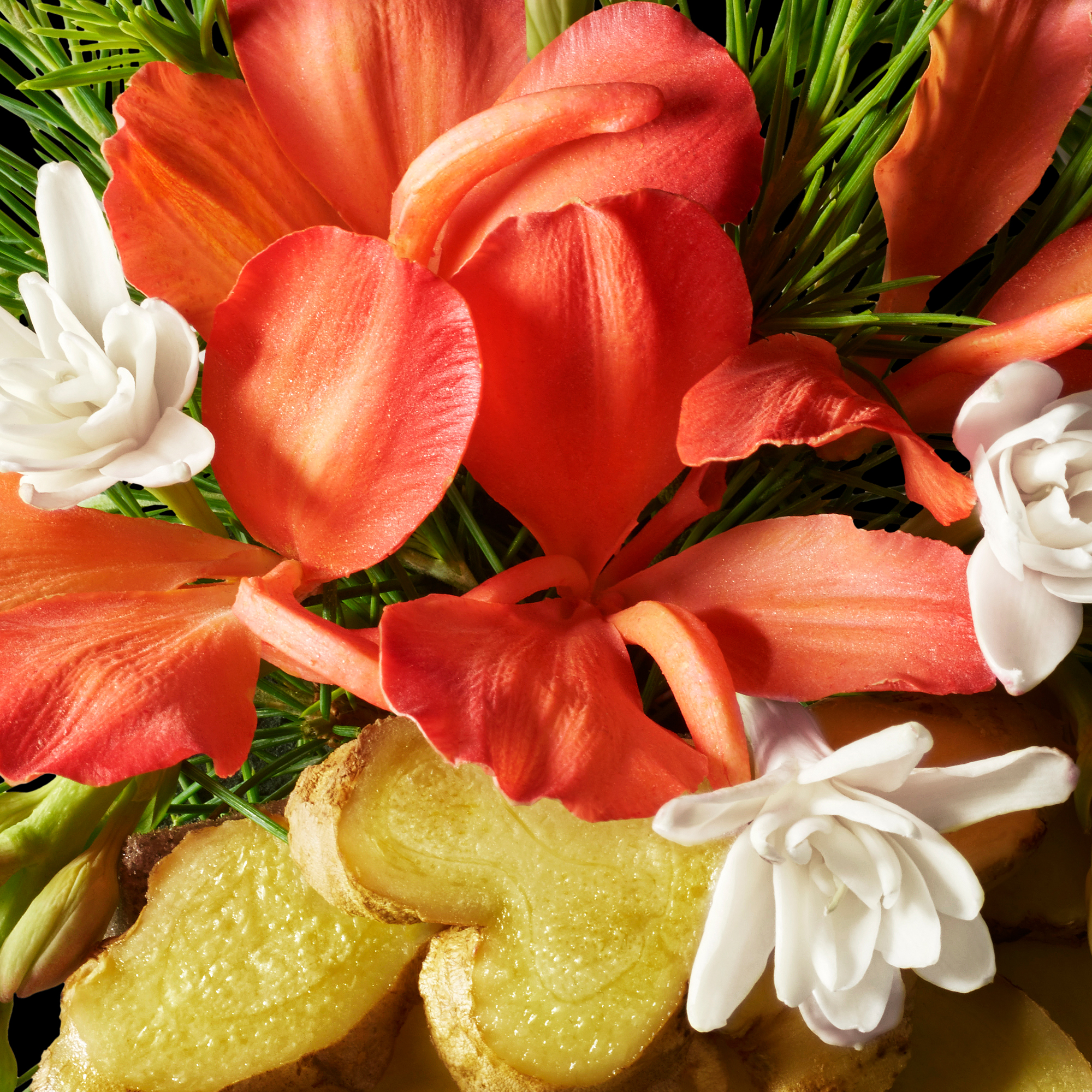 Molton Brown Heavenly Gingerlily Body Lotion Molton Brown Heavenly Gingerlily Body Lotion