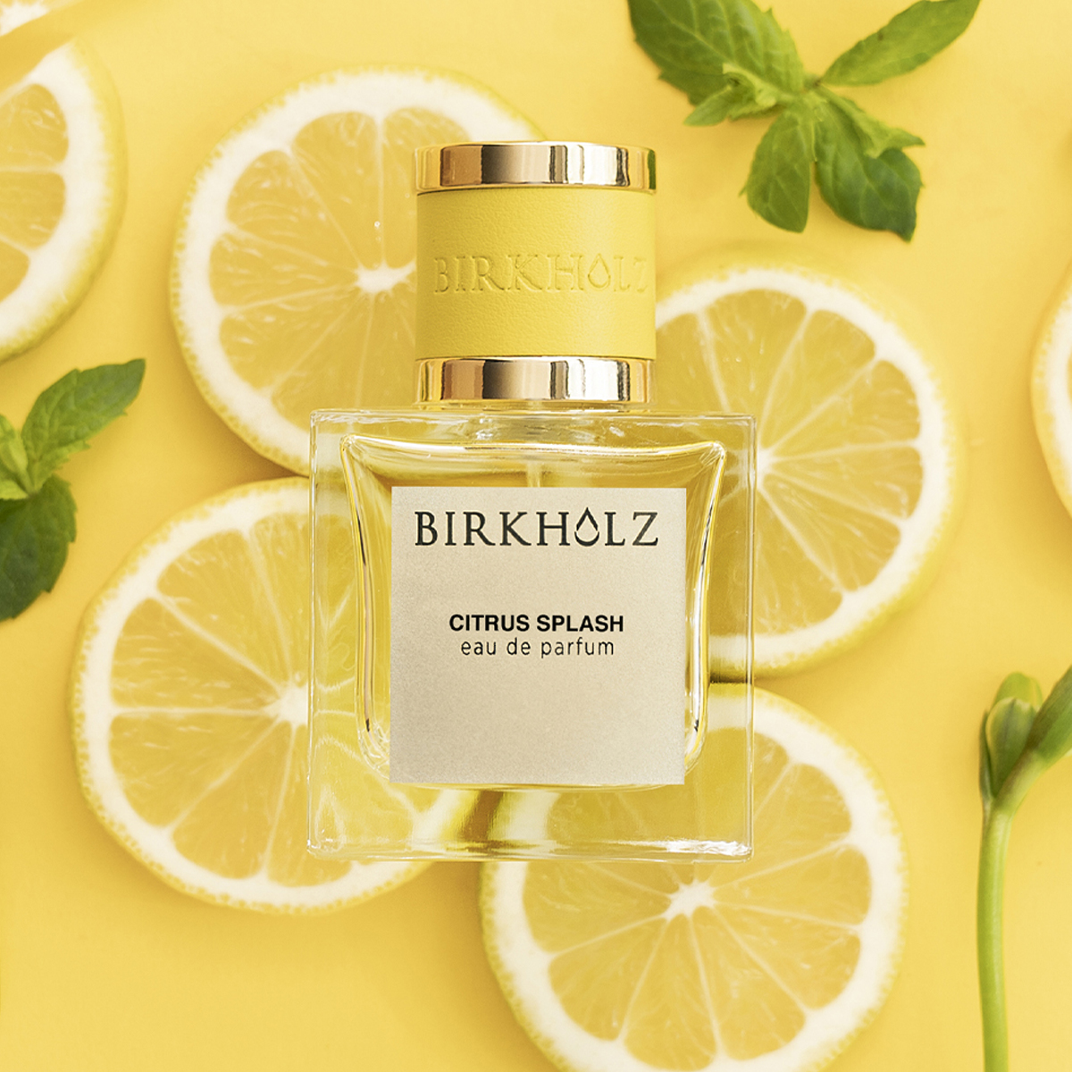 Birkholz Citrus Splash Eau de Parfum Nat. Spray