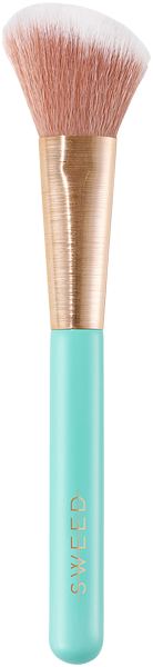 Sweed Angled Blush Brush