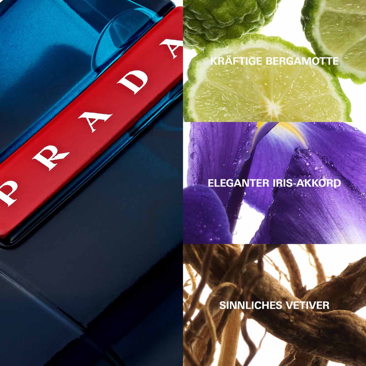 3614273556620-Prada-Luna_Rossa_Ocean_EDT_100ml-07-Eau_de_Toilette__EdT__Ingredient