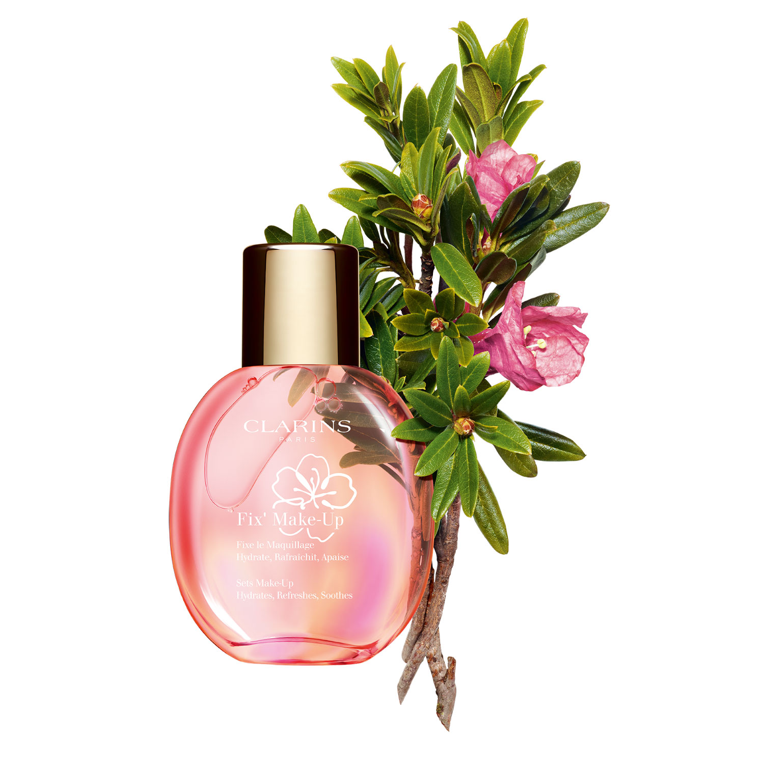 Clarins Sakura Fix' Make-Up