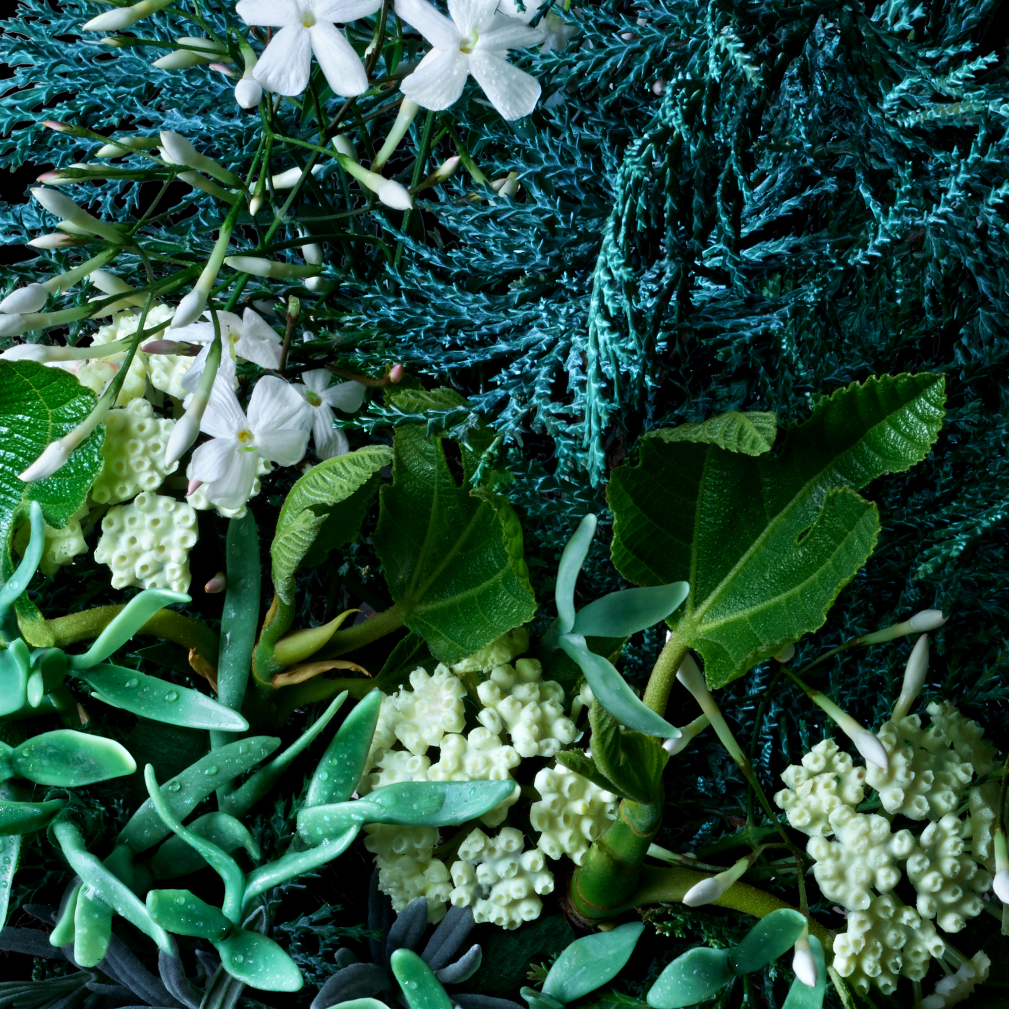 Molton Brown Coastal Cypress & Sea Fennel Bath Salts