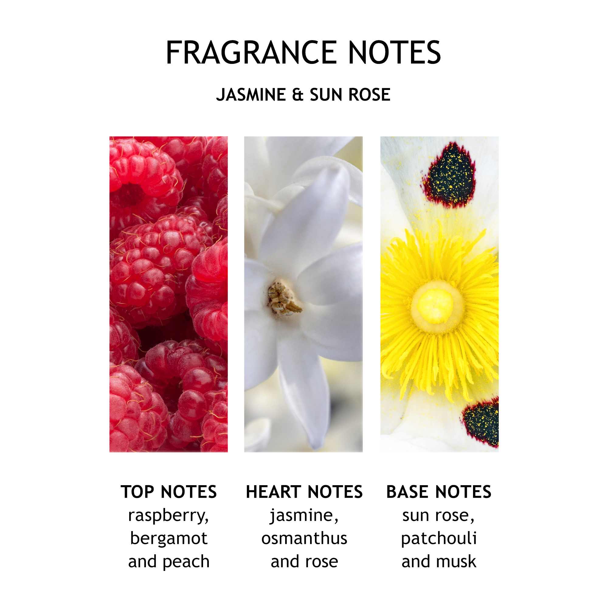 Molton Brown Jasmine & Sun Rose Body Lotion