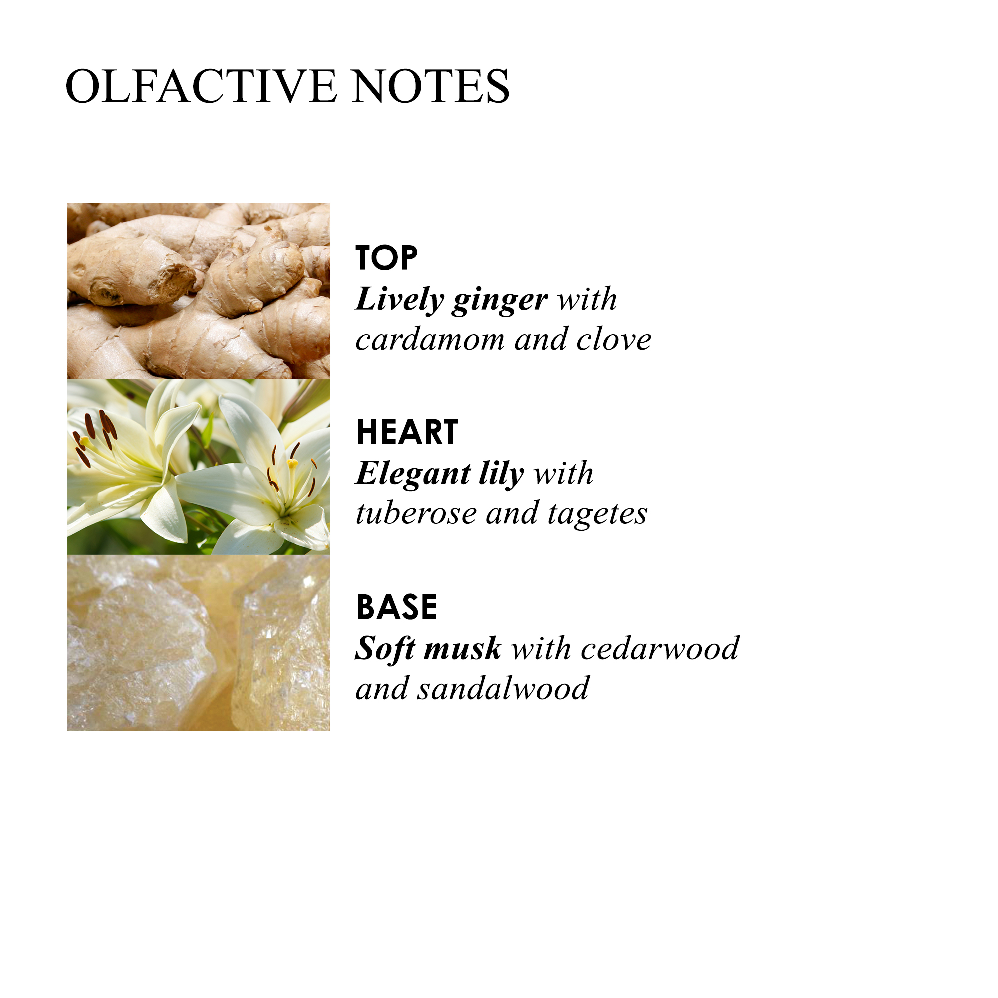 Molton Brown Heavenly Gingerlily Hand Lotion Molton Brown Heavenly Gingerlily Hand Lotion