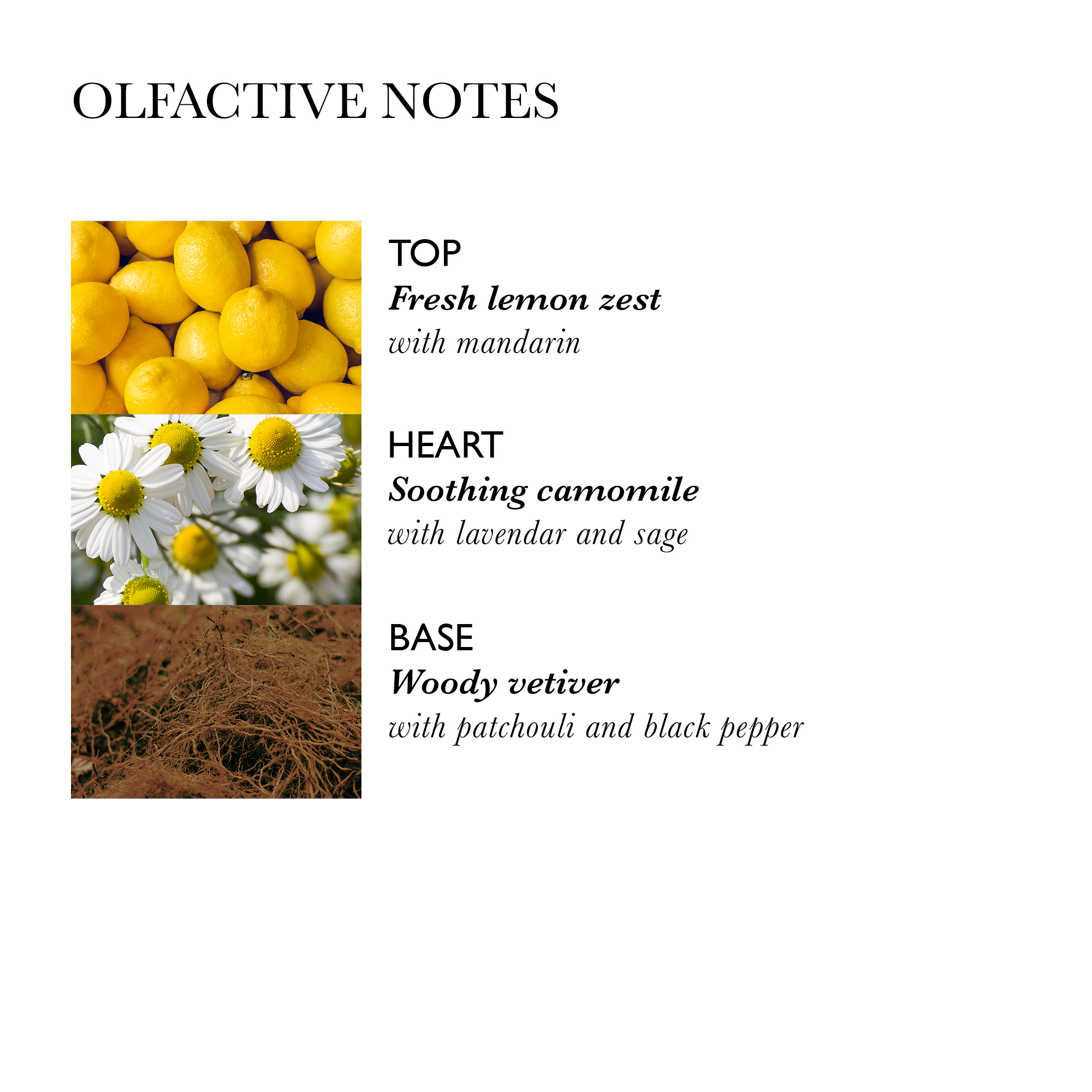 Molton Brown Camomile Conditioner