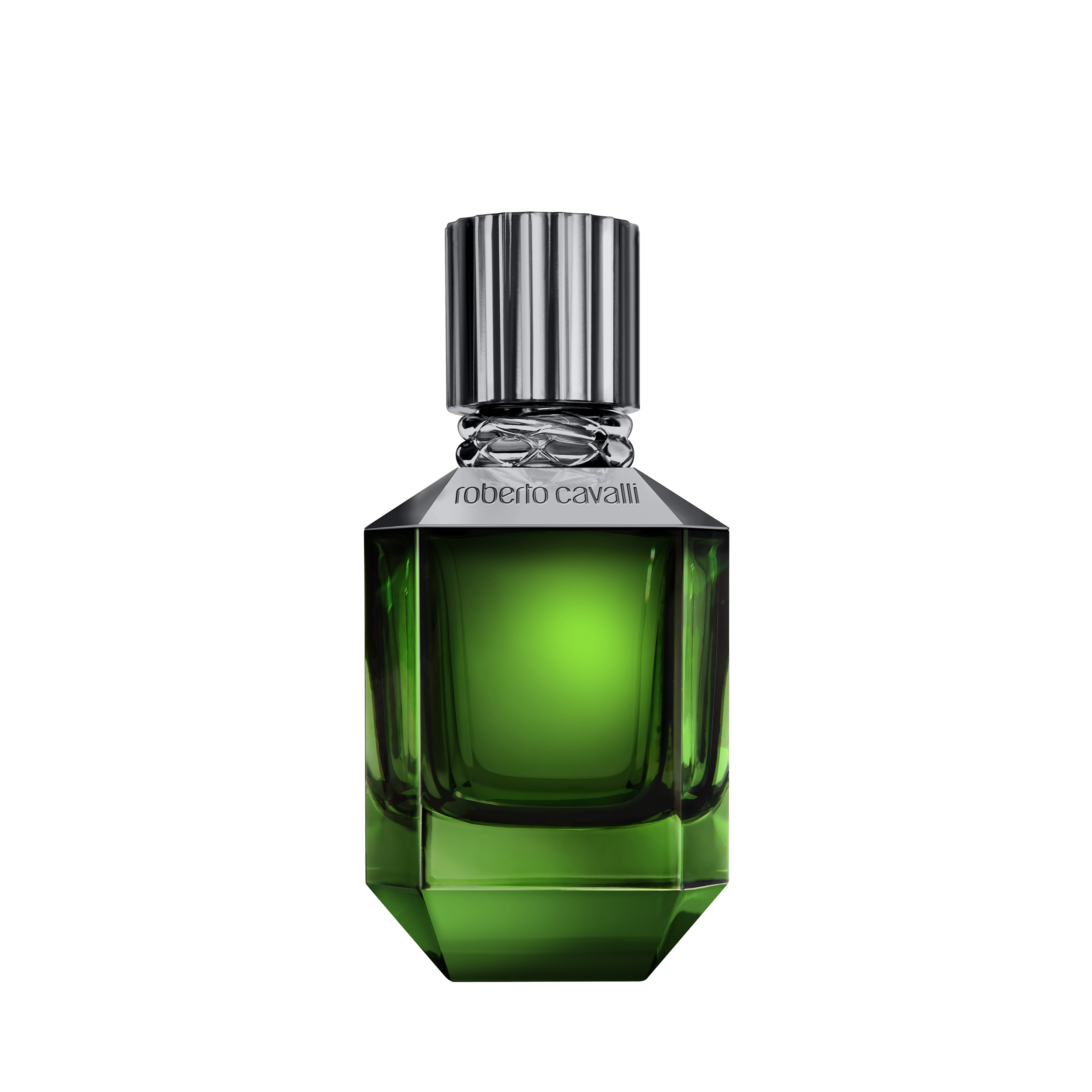 Roberto Cavalli Paradise Found Male Eau de Toilette Nat. Spray