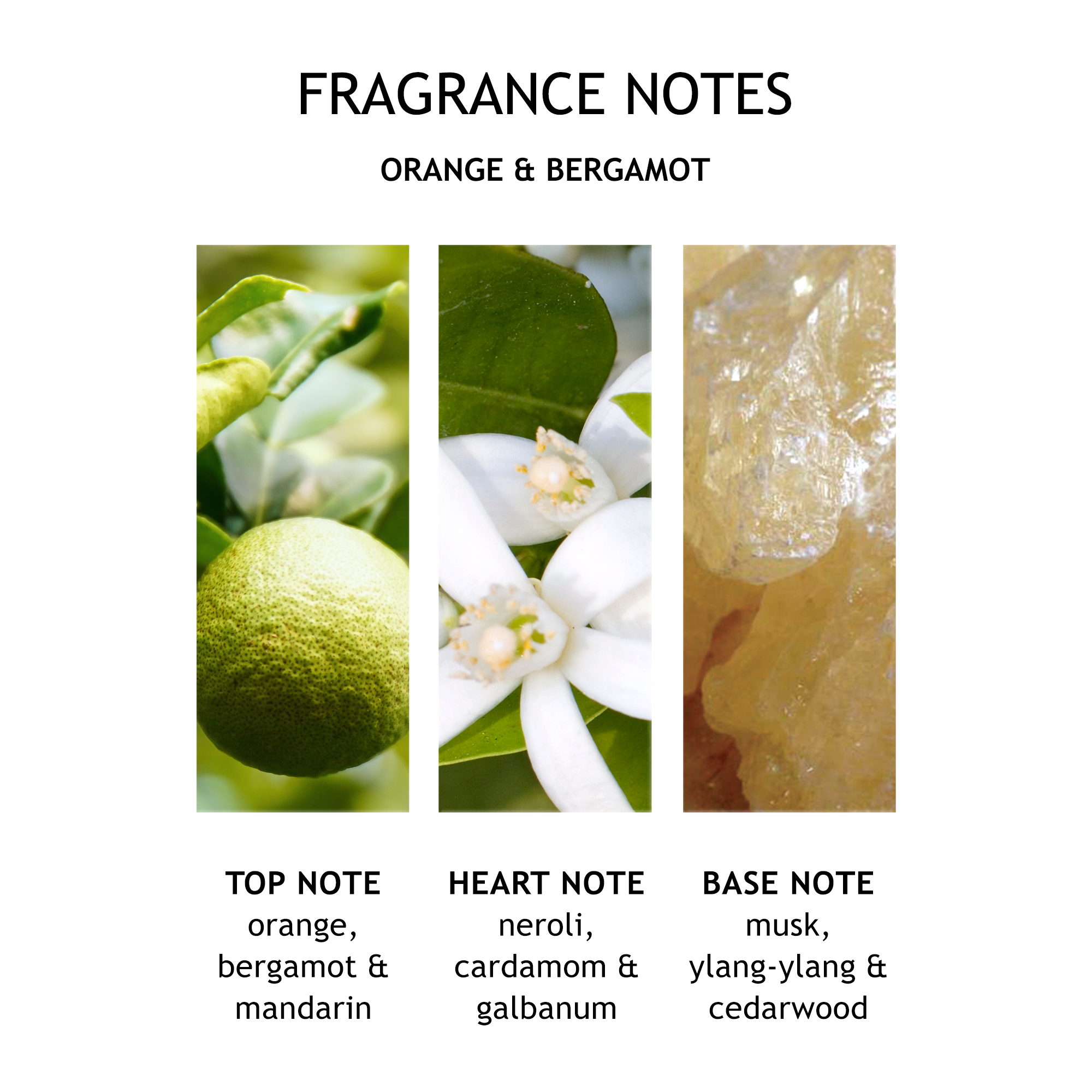 Molton Brown Orange & Bergamot Fine Liquid Hand Wash Glas Bottle