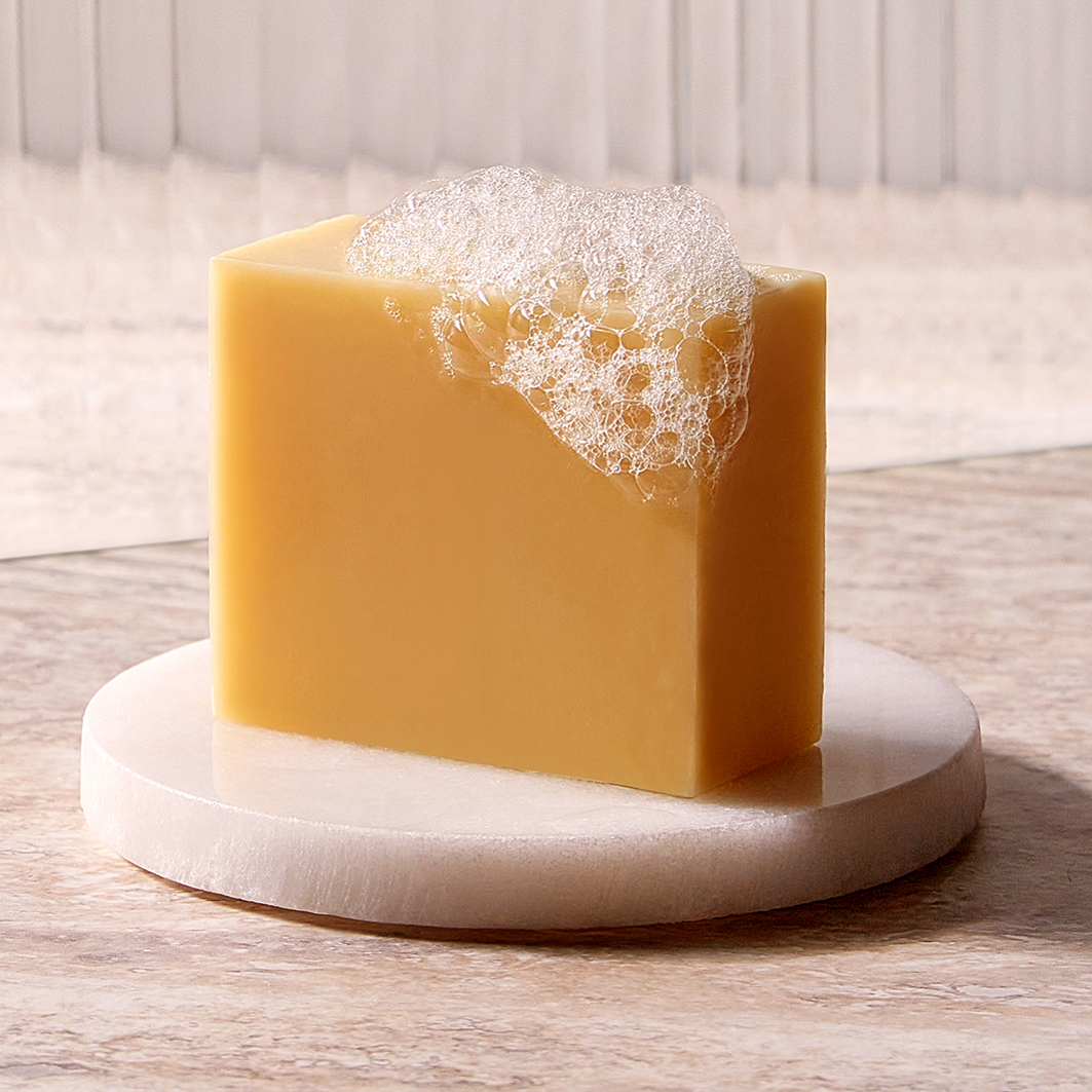 Christophe Robin Hydrating Shampoo Bar With Aloe Vera
