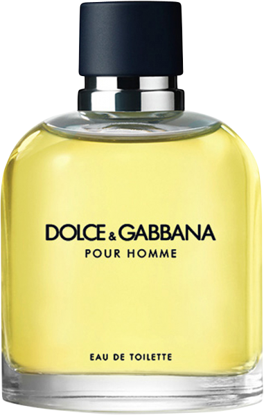 Dolce & Gabbana Pour Homme Eau de Toilette Nat. Spray