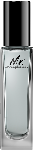 Burberry Mr. Burberry Eau de Toilette Travel Spray