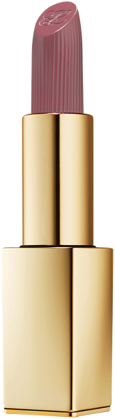 Estée Lauder Pure Color Matte Lipstick