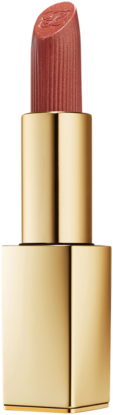 Estée Lauder Pure Color Hi-Lustre Lipstick