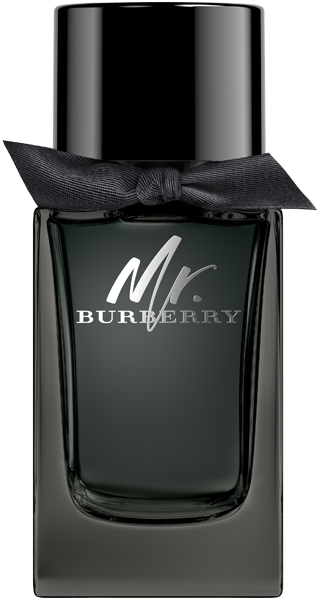 Burberry Mr. Burberry Eau de Parfum Nat. Spray